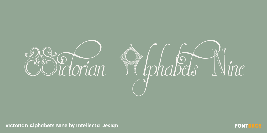 Victorian Alphabets Nine Poster