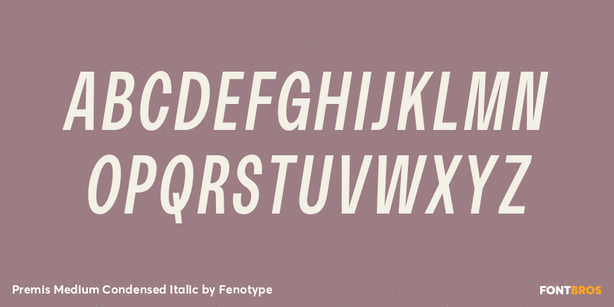 Premis Medium Condensed Italic Font Poster #2