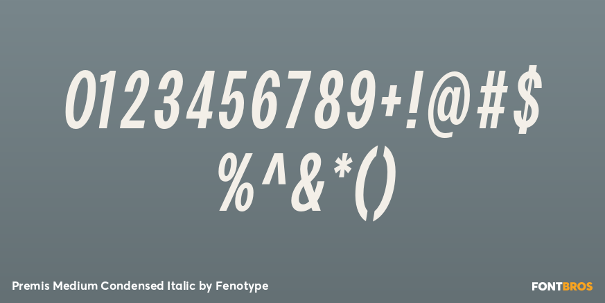 Premis Medium Condensed Italic Font Poster #4