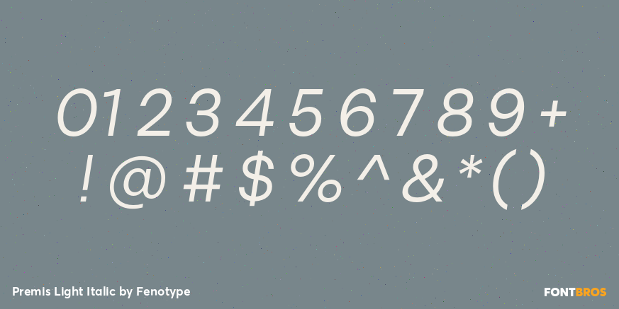 Premis Light Italic Font Poster #4