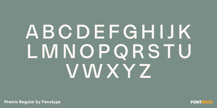 Premis Regular Font Poster #2