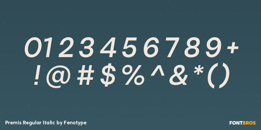 Premis Regular Italic Font Poster #4