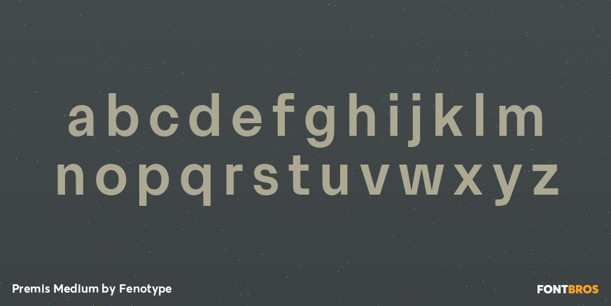 Premis Medium Font Poster #3