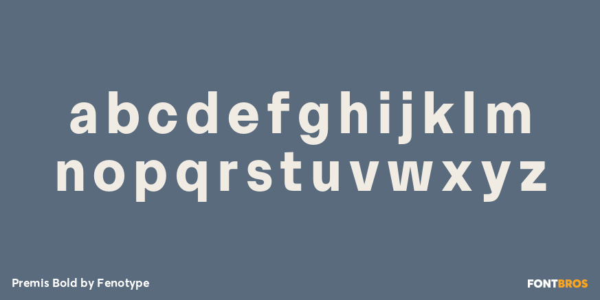 Premis Bold Font Poster #3