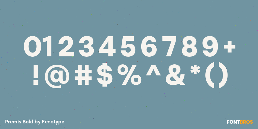 Premis Bold Font Poster #4