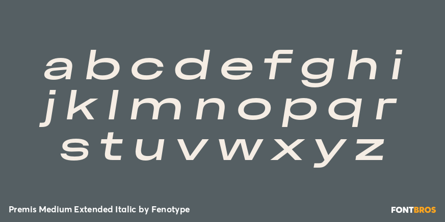 Premis Medium Extended Italic Font Poster #3