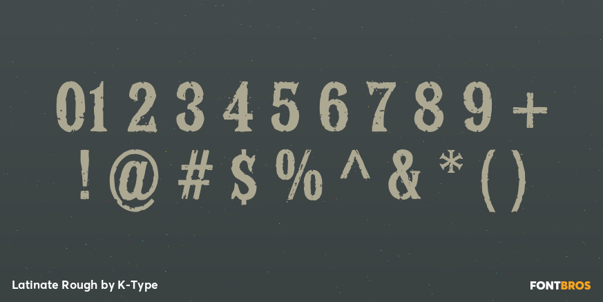 Latinate Rough Font Poster #4