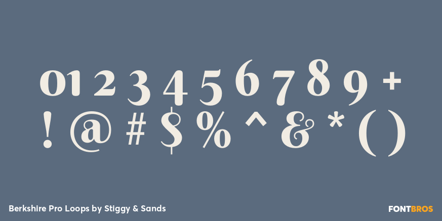 Berkshire Pro Loops Font Poster #4