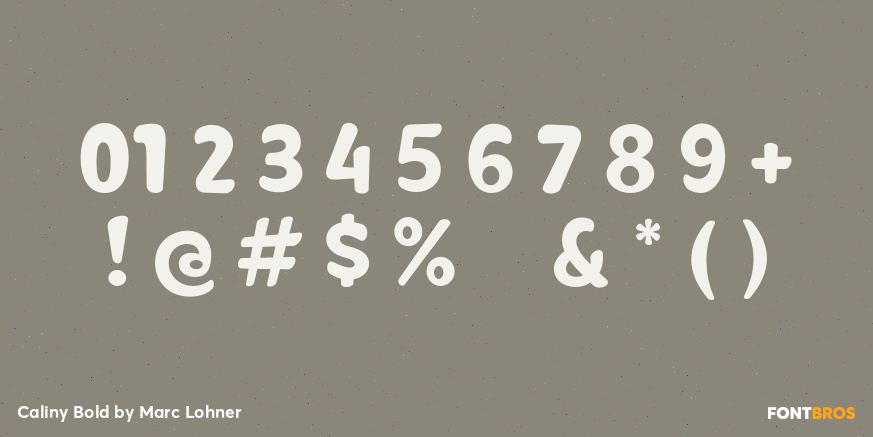 Caliny Bold Font Poster #4