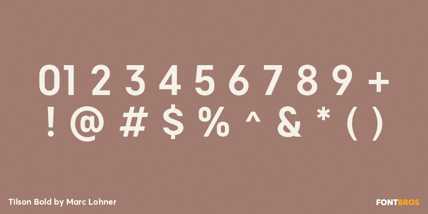 Tilson Bold Font Poster #1