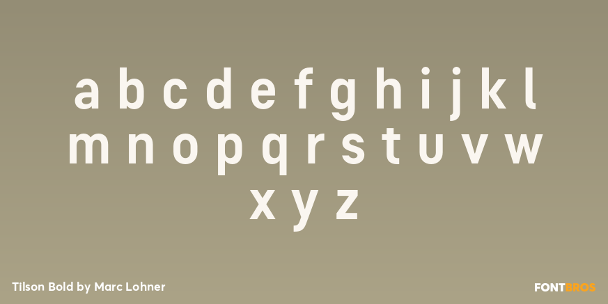 Tilson Bold Font Poster #3