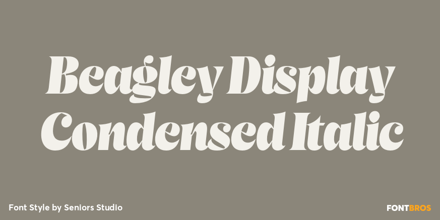 Beagley Display Condensed Italic Font Poster #1