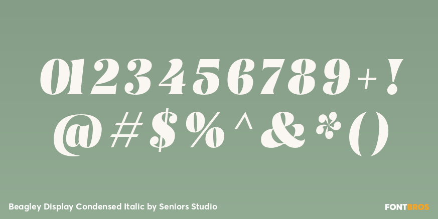 Beagley Display Condensed Italic Font Poster #1