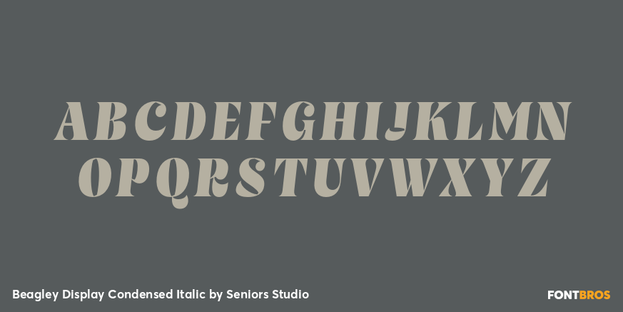 Beagley Display Condensed Italic Font Poster #2