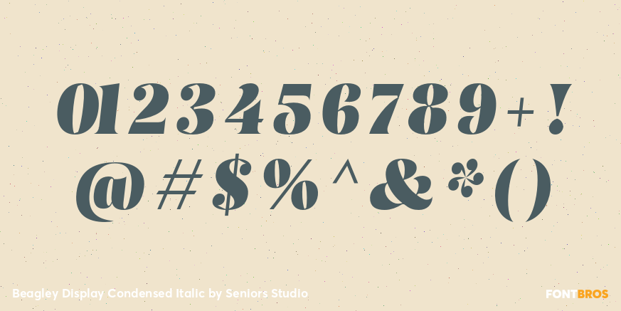 Beagley Display Condensed Italic Font Poster #4