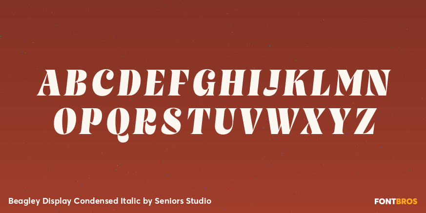 Beagley Display Condensed Italic Font Poster #1
