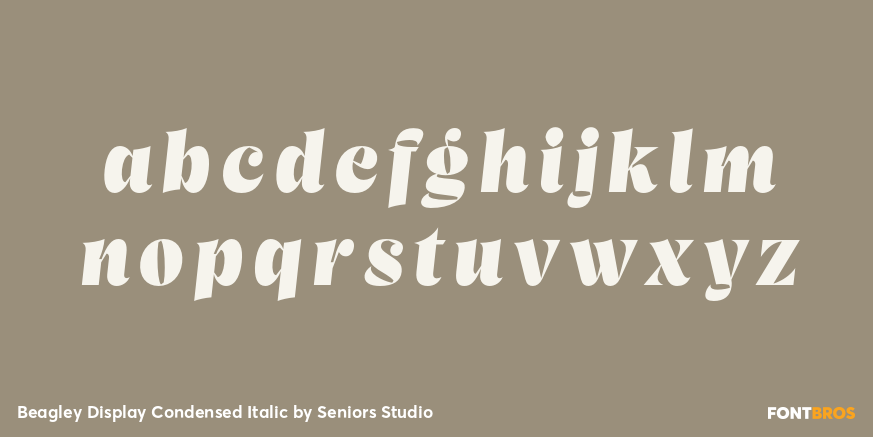 Beagley Display Condensed Italic Font Poster #1