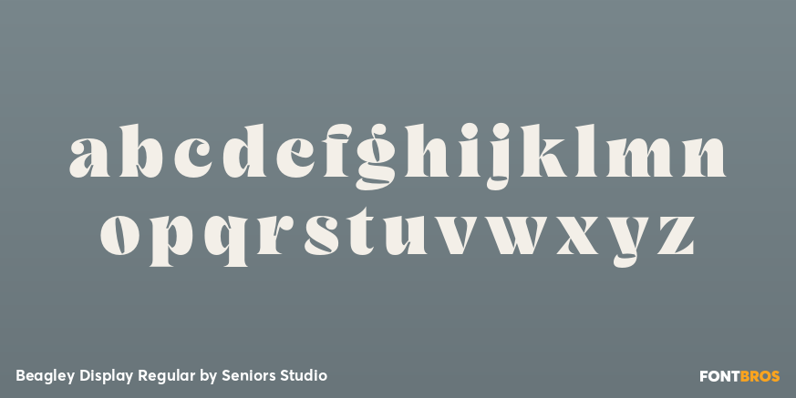 Beagley Display Regular Font Poster #3