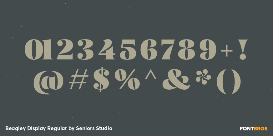 Beagley Display Regular Font Poster #4