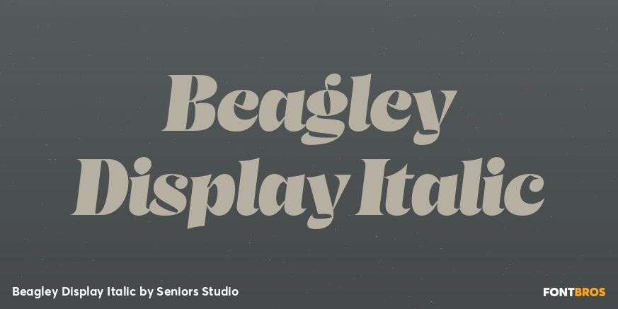 Beagley Display Italic Font Poster #1