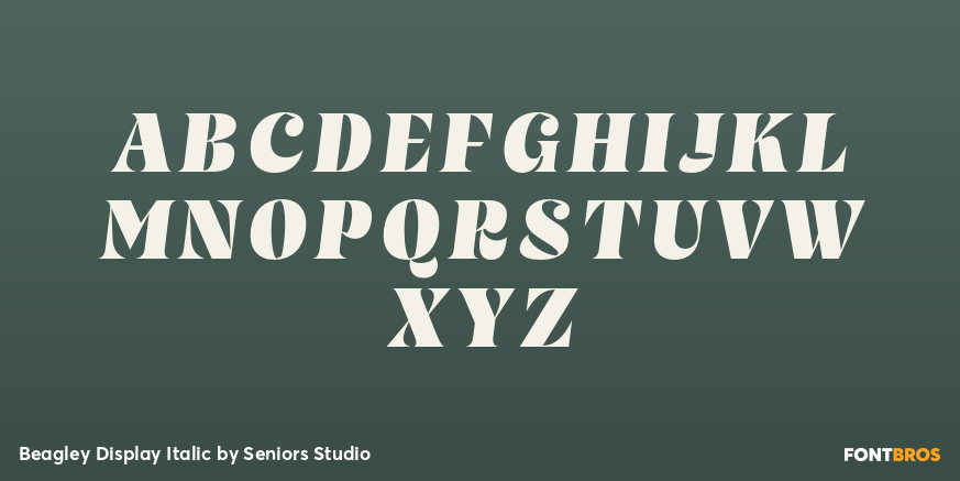Beagley Display Italic Font Poster #2