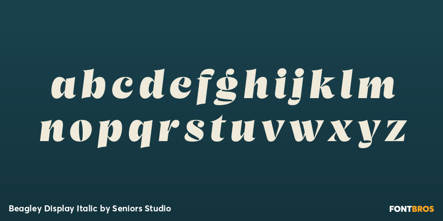 Beagley Display Italic Font Poster #3