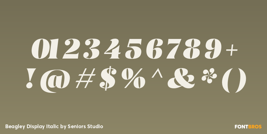 Beagley Display Italic Font Poster #4