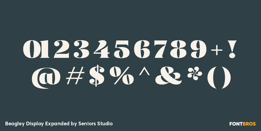 Beagley Display Expanded Font Poster #4