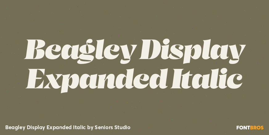 Beagley Display Expanded Italic Font Poster #1