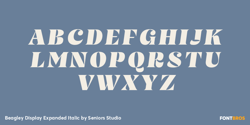 Beagley Display Expanded Italic Font Poster #2