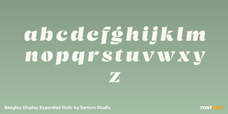 Beagley Display Expanded Italic Font Poster #3