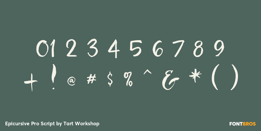 Epicursive Pro Script Font Poster #4