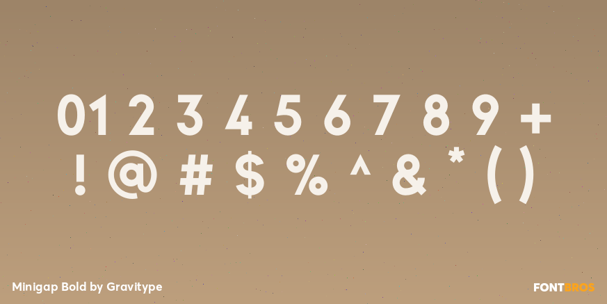 Minigap Bold Font Poster #4