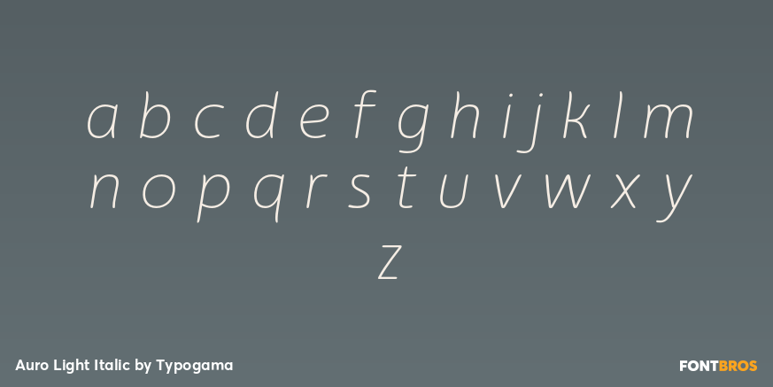 Auro Light Italic Font Poster #3