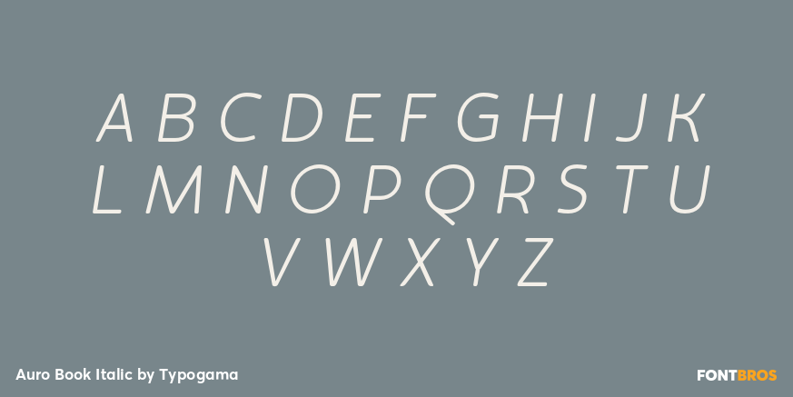 Auro Book Italic Font Poster #2