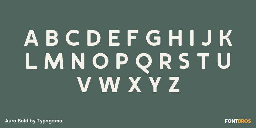 Auro Bold Font Poster #2