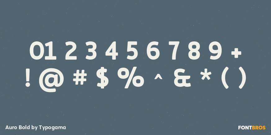 Auro Bold Font Poster #4