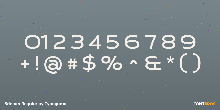 Brinnan Regular Font Poster #4