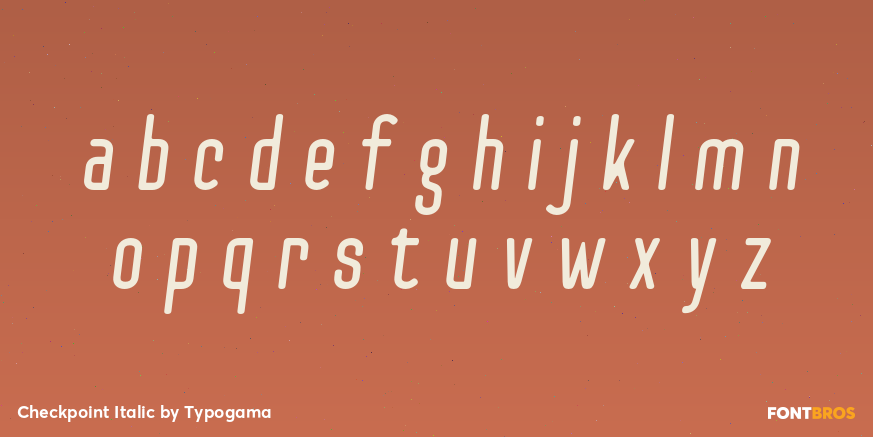 Checkpoint Italic Font Poster #3