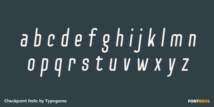 Checkpoint Italic Font Poster #1
