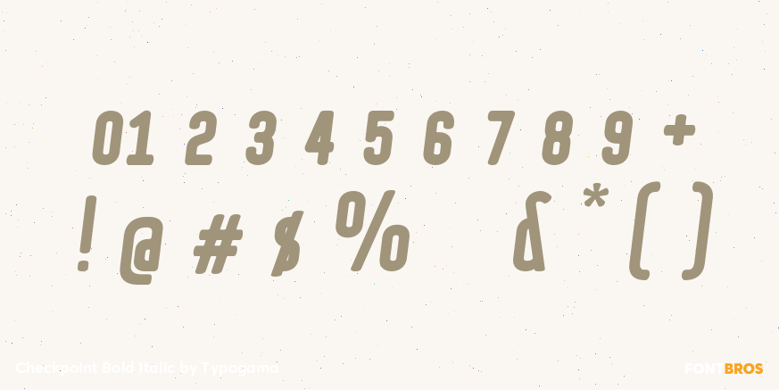 Checkpoint Bold Italic Font Poster #4