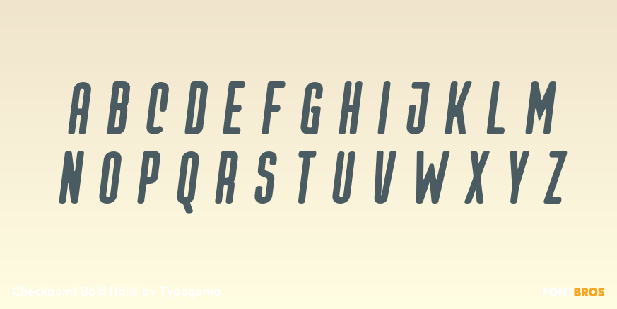 Checkpoint Bold Italic Font Poster #2