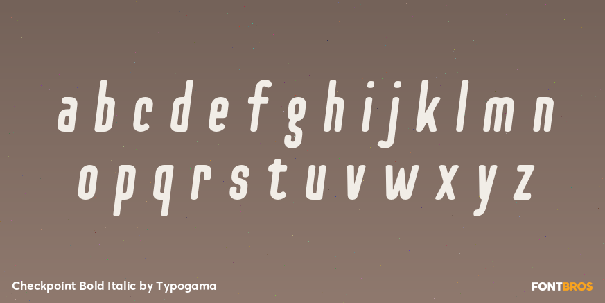 Checkpoint Bold Italic Font Poster #3