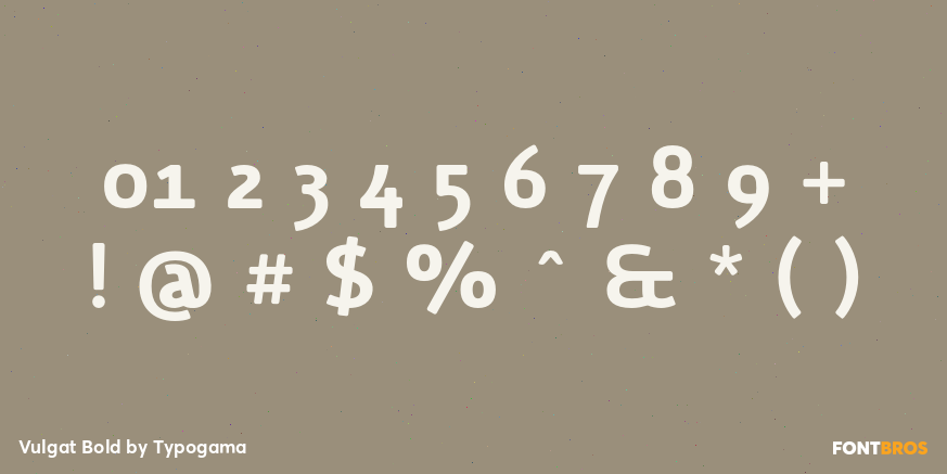 Vulgat Bold Font Poster #4