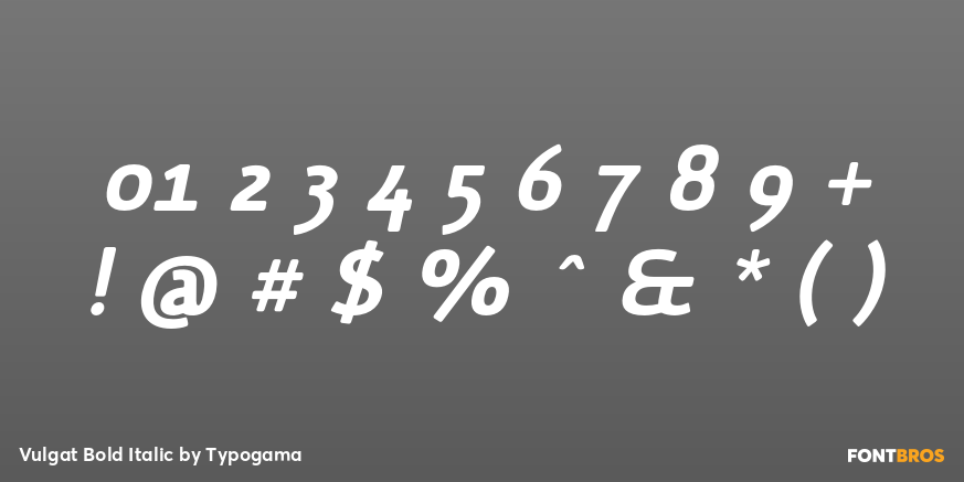 Vulgat Bold Italic Font Poster #4