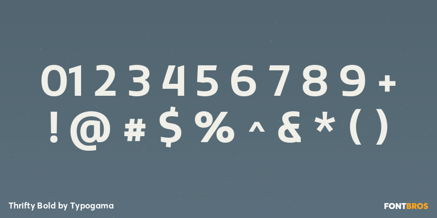 Thrifty Bold Font Poster #1