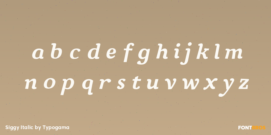 Siggy Italic Font Poster #3