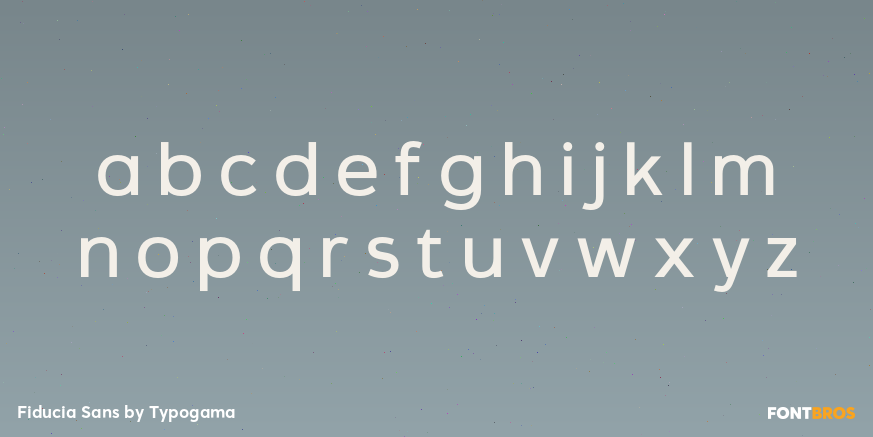 Fiducia Sans Font Poster #3