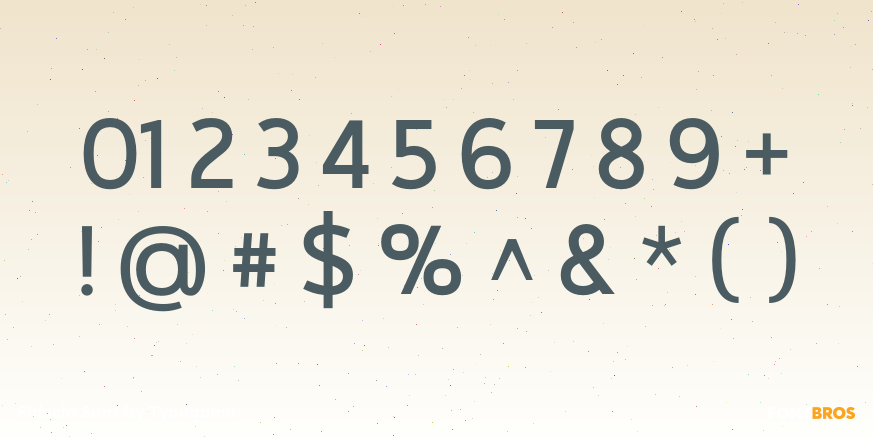 Fiducia Sans Font Poster #4