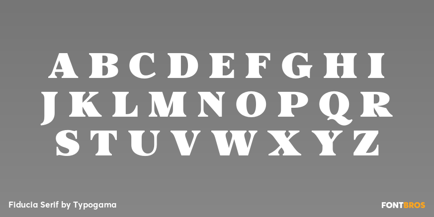Fiducia Serif Font Poster #2